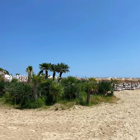 Horizon 12 'a' סבטי ולאס